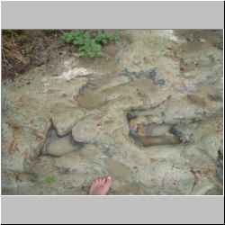 100_1563 (2009-28-07).JPG